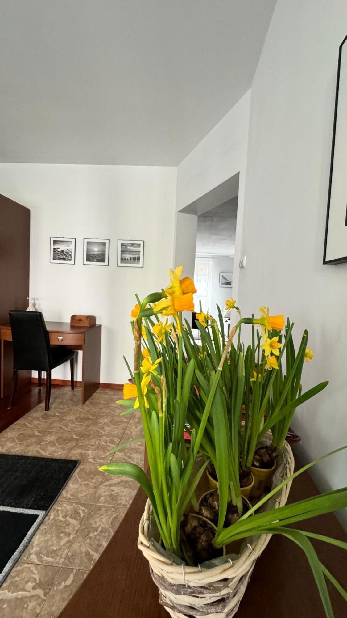 Apartament Rodzinny Kolobrzeg Bagian luar foto