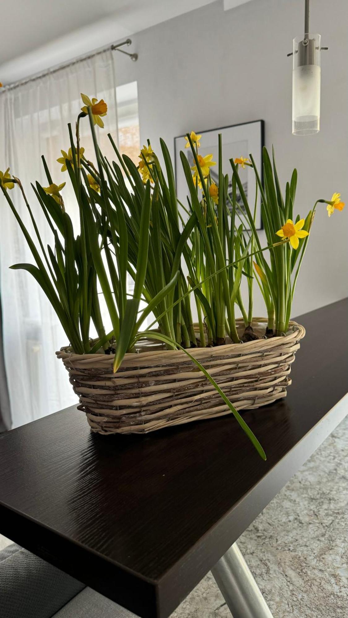 Apartament Rodzinny Kolobrzeg Bagian luar foto